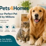 pets4homes